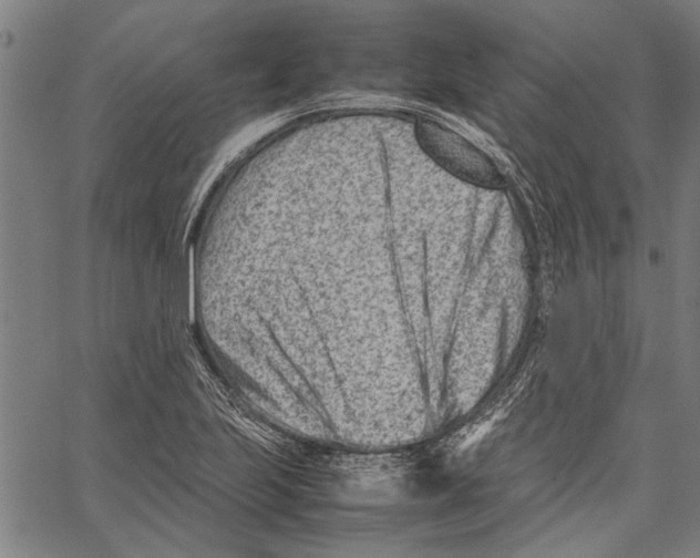 X0000062131223200601060849