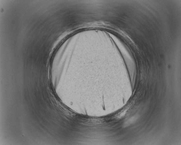 X0000062131224200601060849