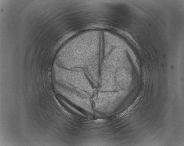 X0000062131225200601060849