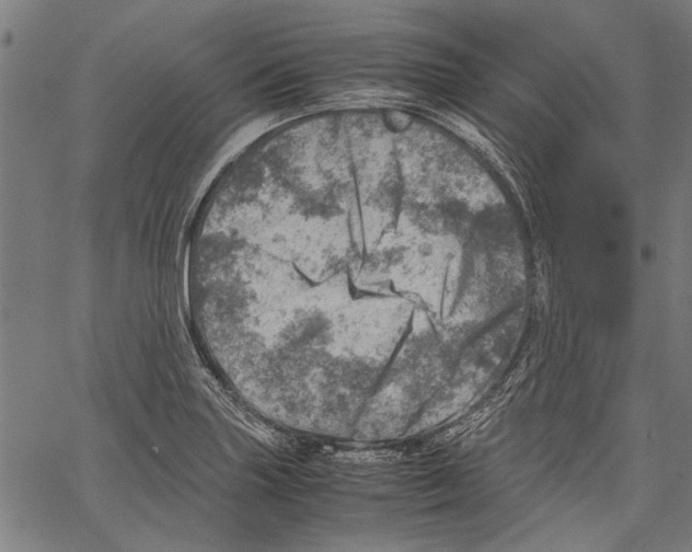 X0000062131227200601060849