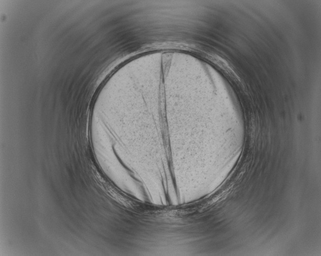 X0000062131228200601060849