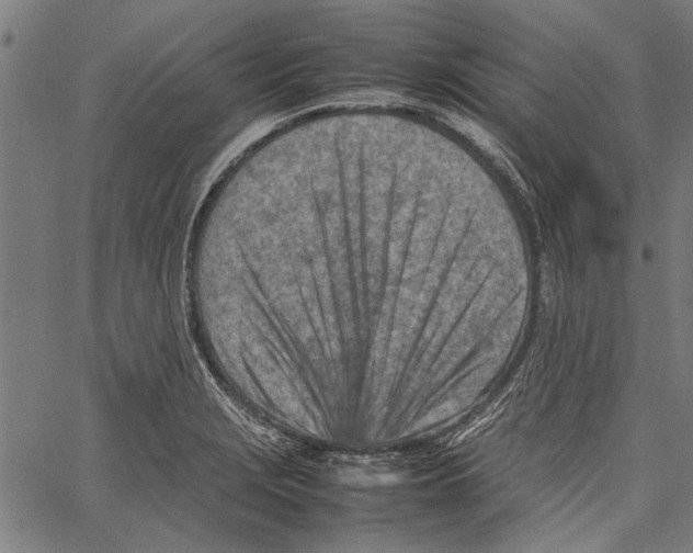 X0000062131229200601060849