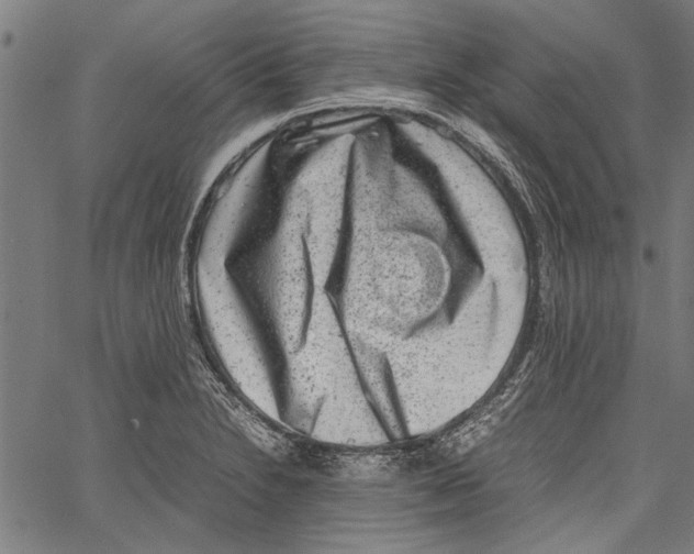 X0000062131230200601060849