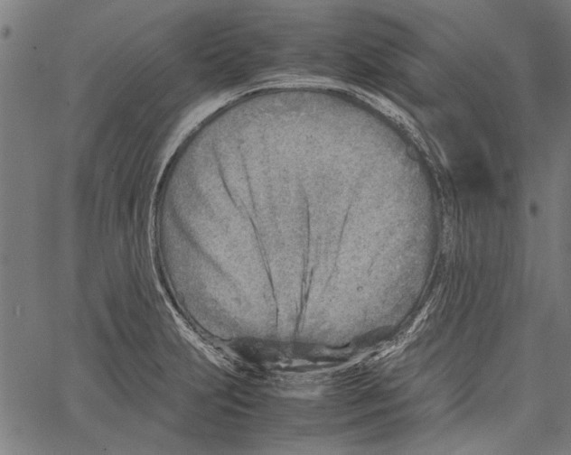 X0000062131231200601060849