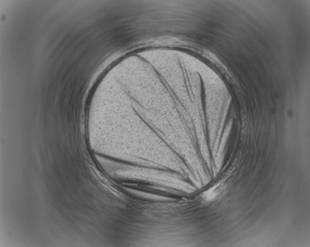 X0000062131232200601060849