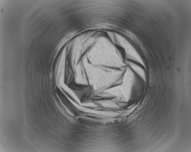 X0000062131234200601060849