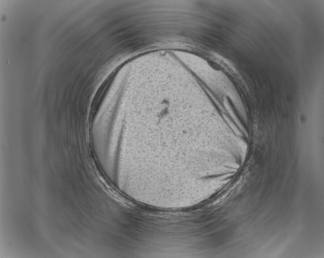 X0000062131236200601060849