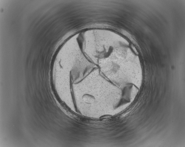 X0000062131237200601060849