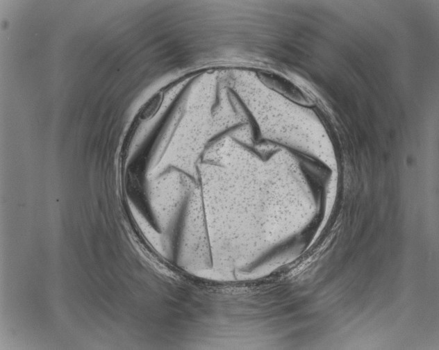 X0000062131238200601060849