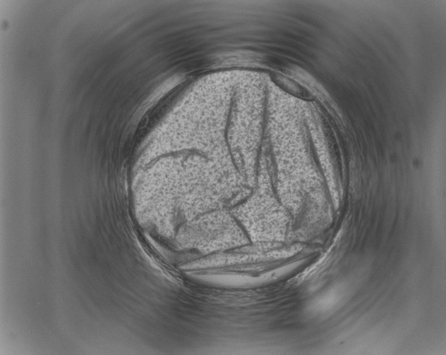 X0000062131241200601060849