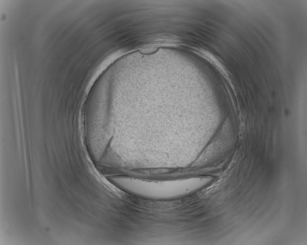 X0000062131243200601060849