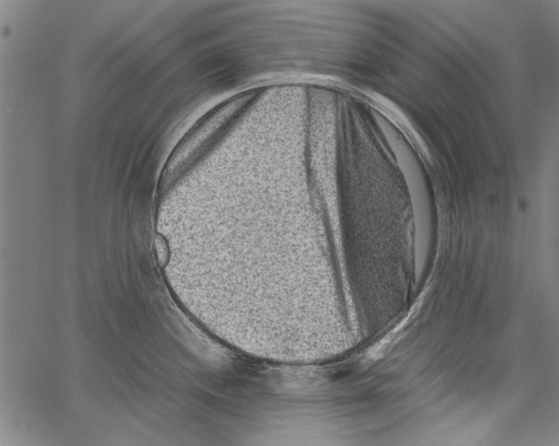 X0000062131244200601060849