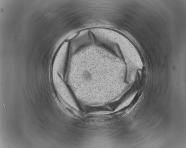 X0000062131246200601060849