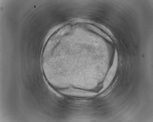 X0000062131247200601060849