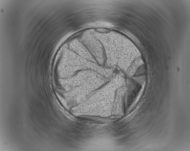 X0000062131248200601060849