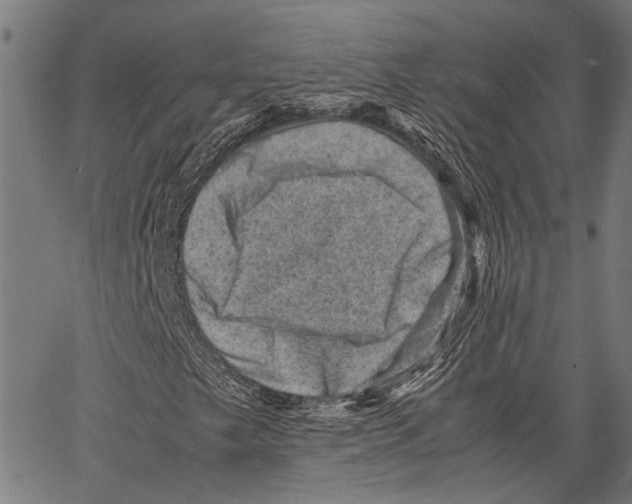 X0000062131249200601060848