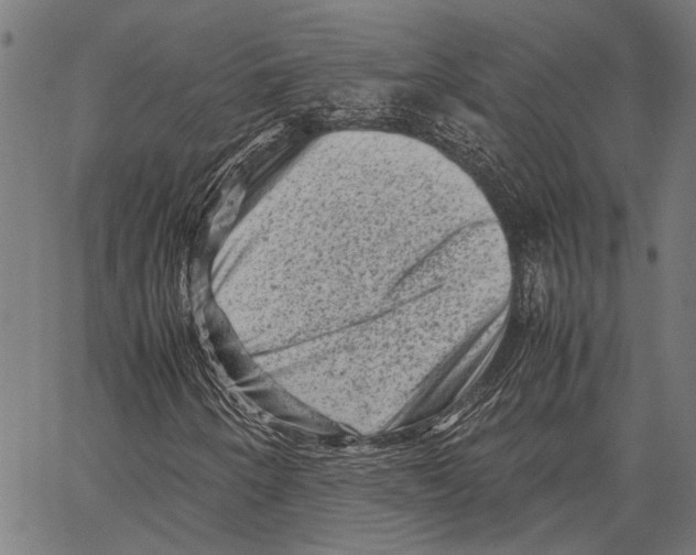 X0000062131250200601060848