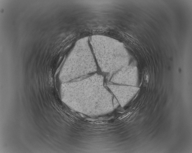 X0000062131252200601060848