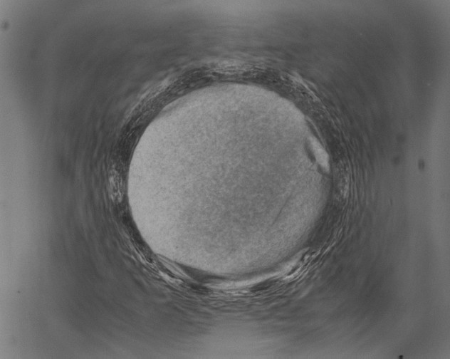 X0000062131253200601060848