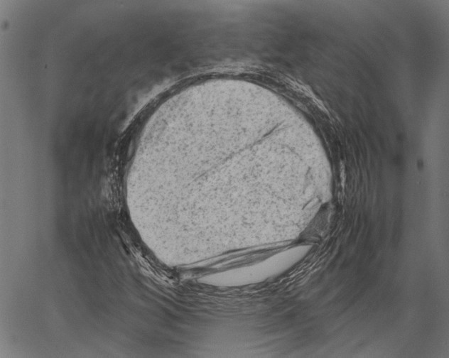 X0000062131256200601060848