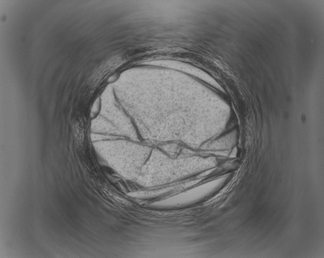 X0000062131257200601060848