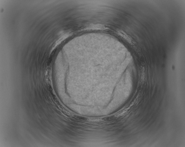 X0000062131258200601060848