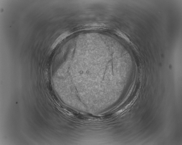 X0000062131259200601060848