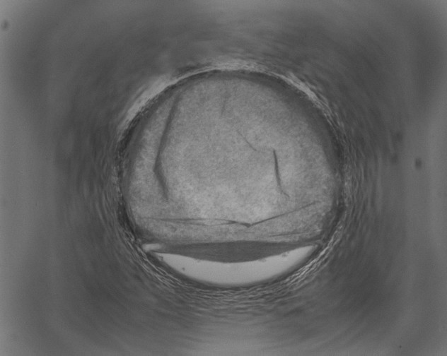 X0000062131263200601060848