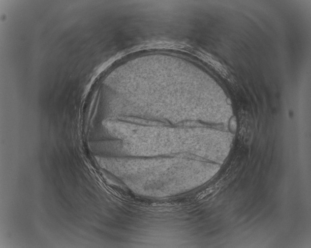 X0000062131264200601060848