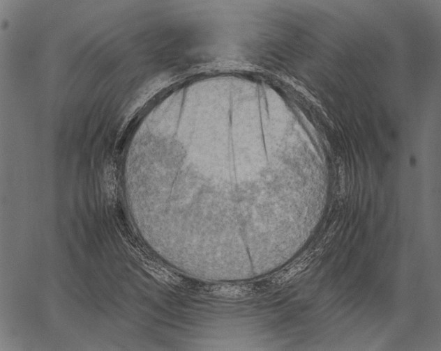 X0000062131266200601060848