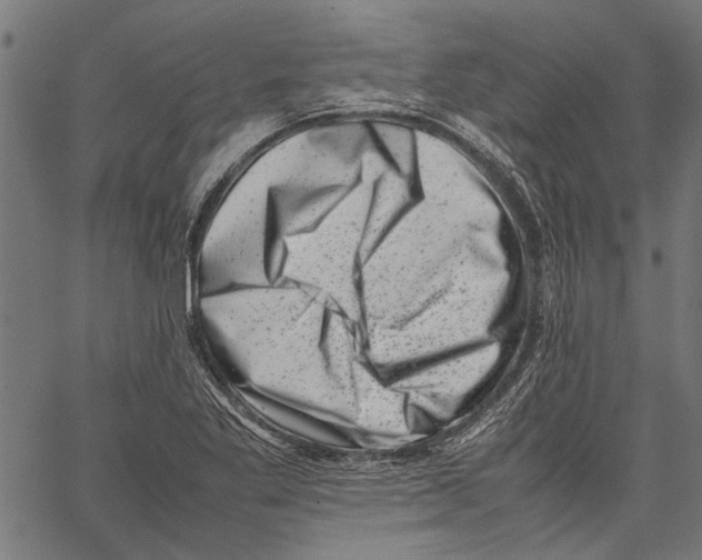 X0000062131269200601060848