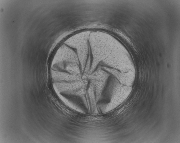 X0000062131270200601060848