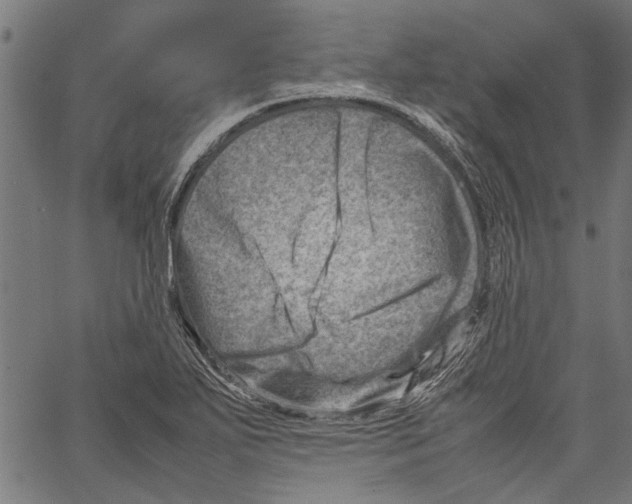 X0000062131271200601060848