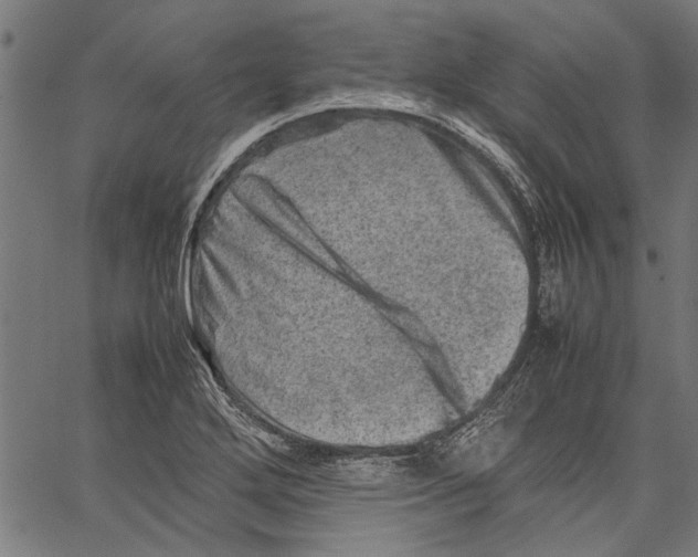 X0000062131272200601060848