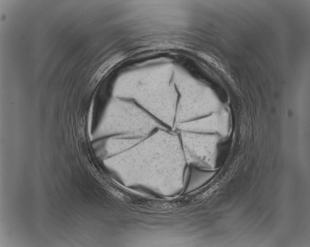 X0000062131273200601060848