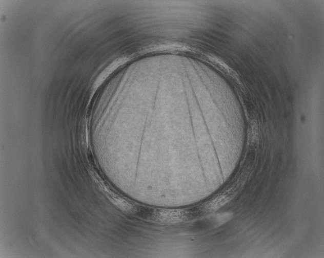 X0000062131274200601060848