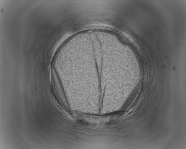 X0000062131275200601060848