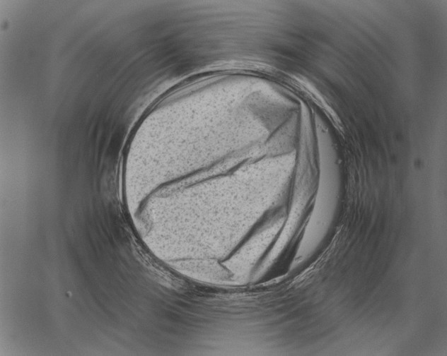 X0000062131276200601060848