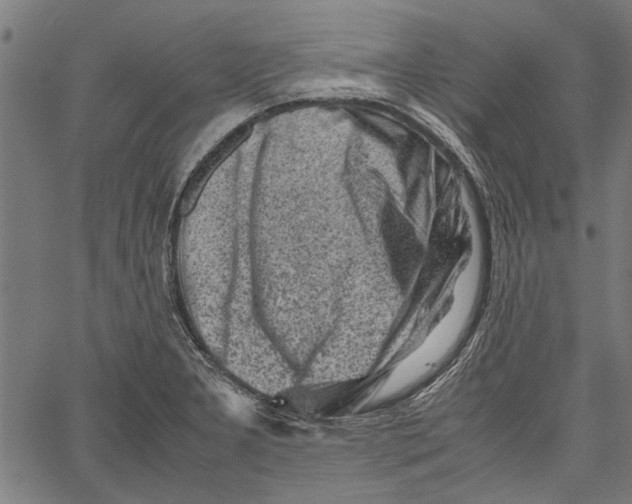 X0000062131277200601060848