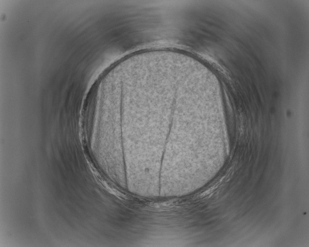 X0000062131278200601060848