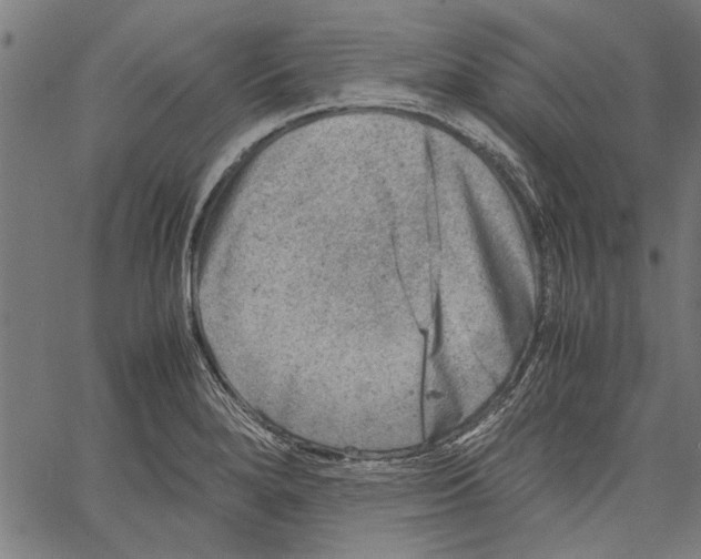 X0000062131280200601060848