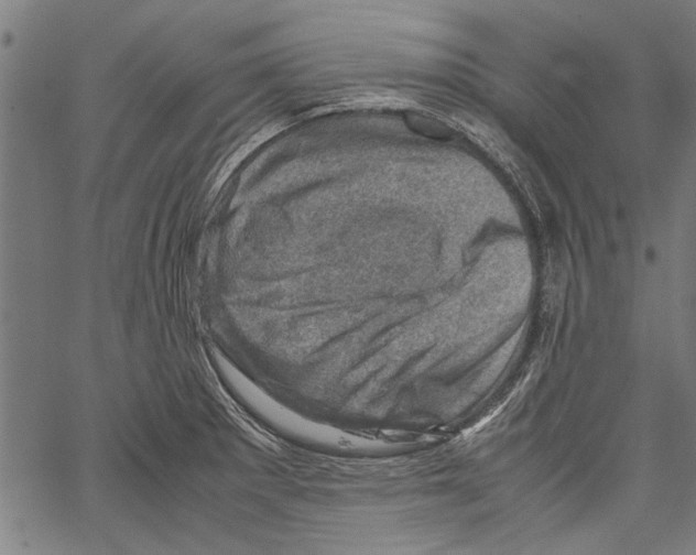 X0000062131281200601060848