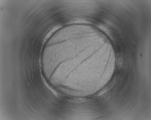 X0000062131282200601060848