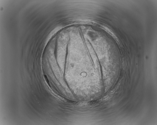 X0000062131283200601060848