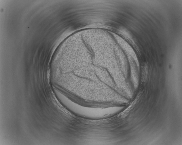 X0000062131284200601060848