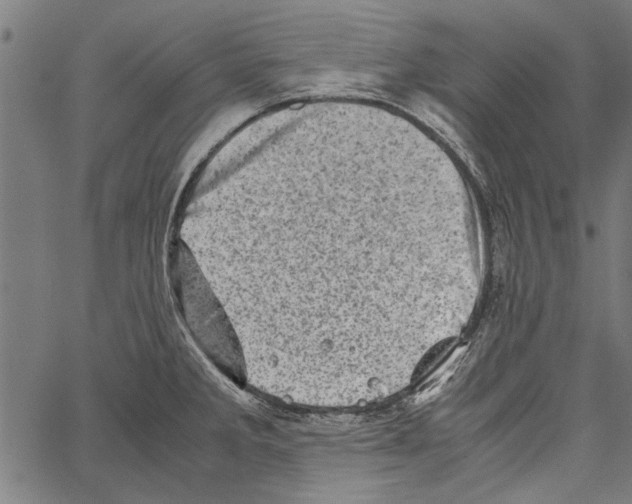 X0000062131285200601060848