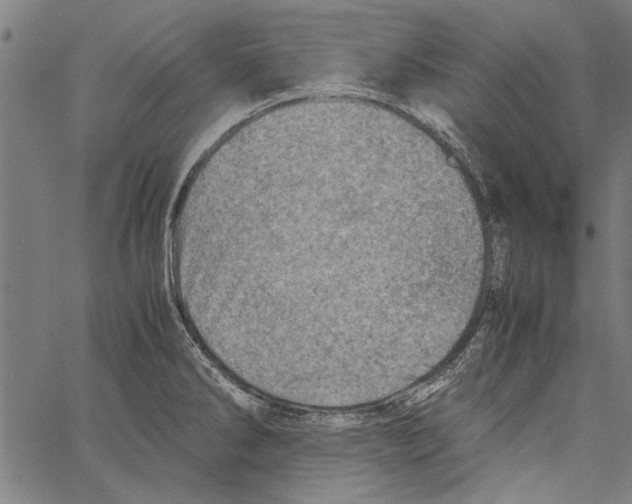 X0000062131286200601060848