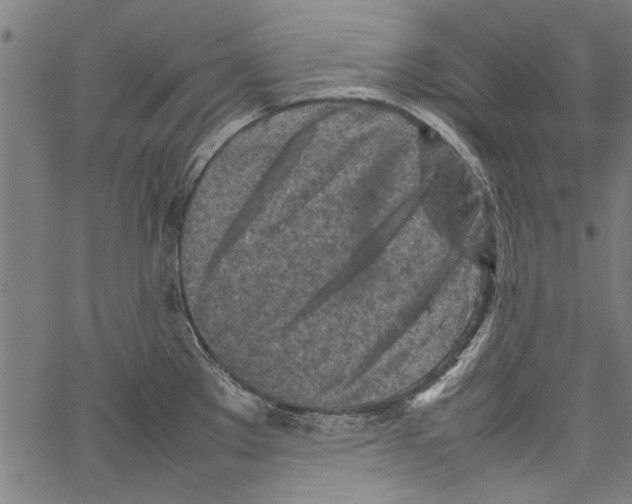 X0000062131289200601060848