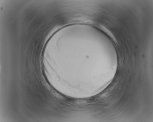 X0000062131291200601060848