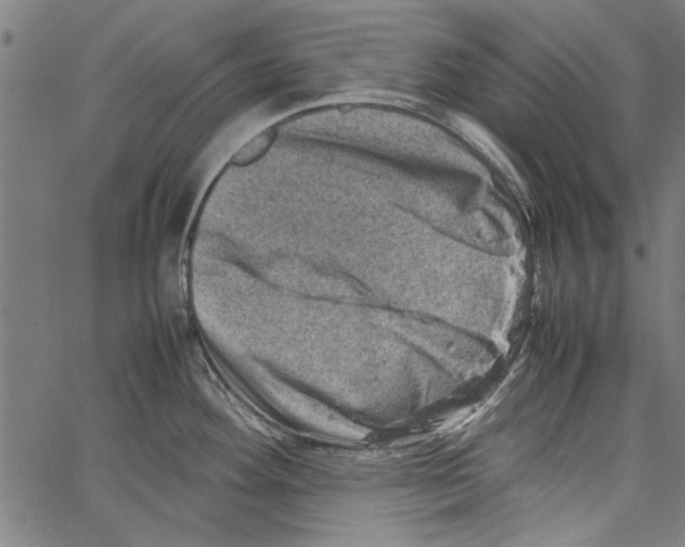 X0000062131292200601060848